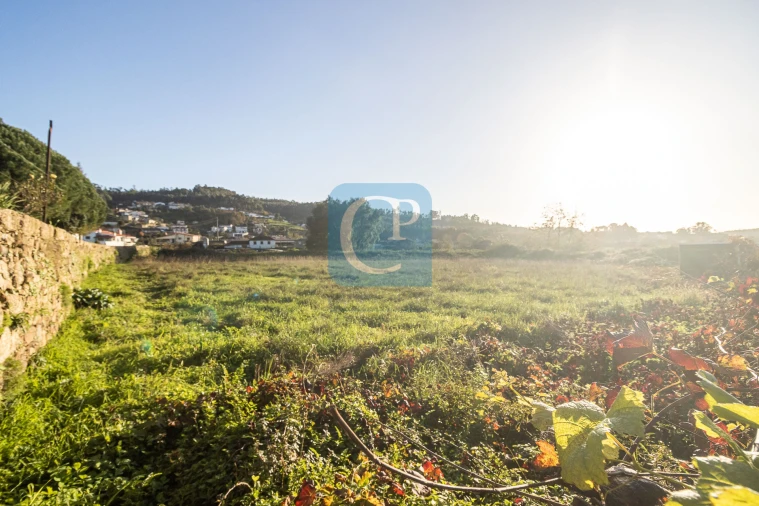 Terreno para Venda em Reguenga Foto 5