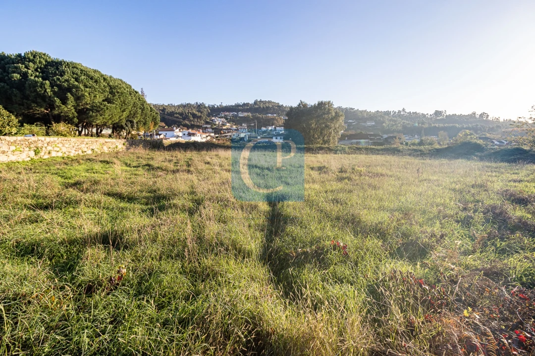 Terreno para Venda em Reguenga Foto 2