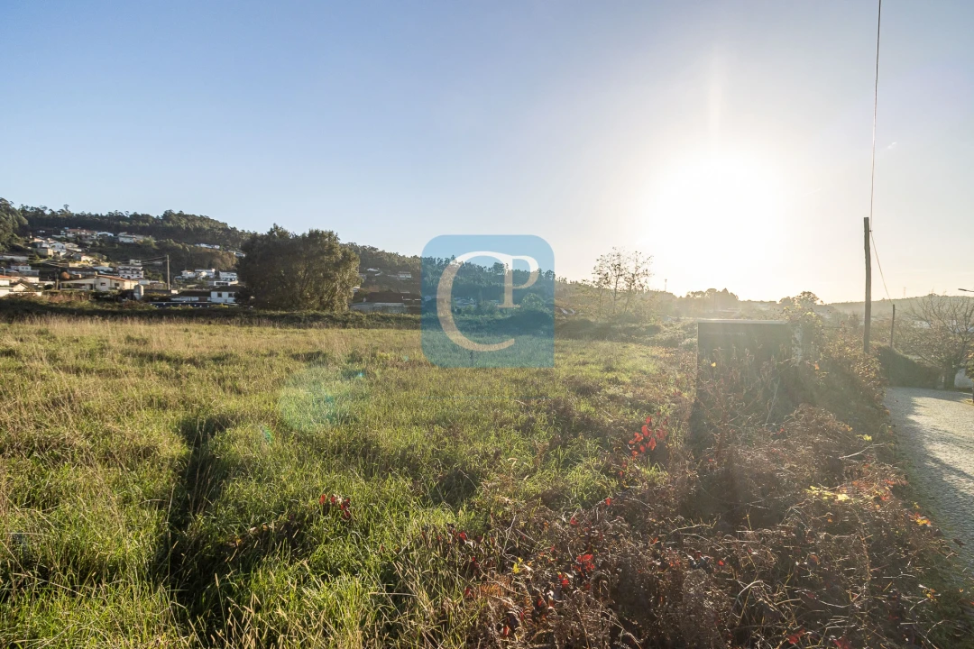 Terreno para Venda em Reguenga Foto 4