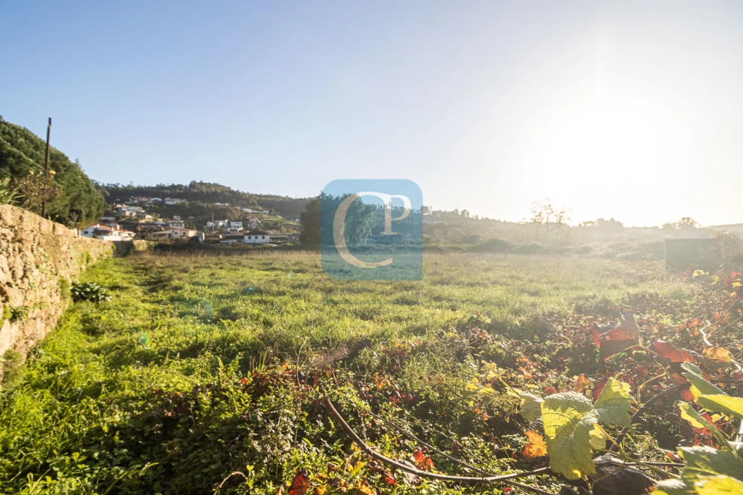 Terreno para Venda em Reguenga Foto 5