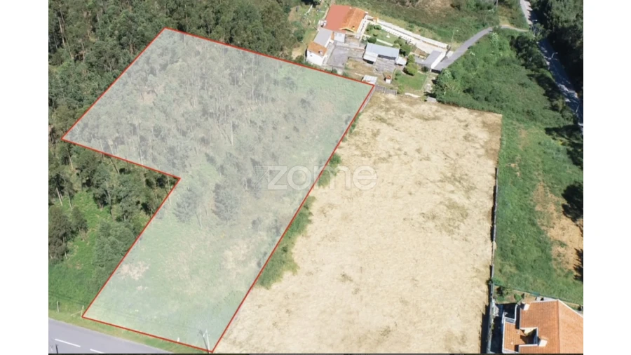 Terreno para Venda em Cortegaça Foto 5