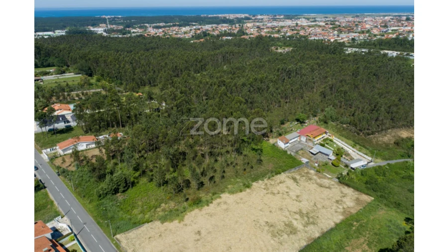 Terreno para Venda em Cortegaça Foto 6