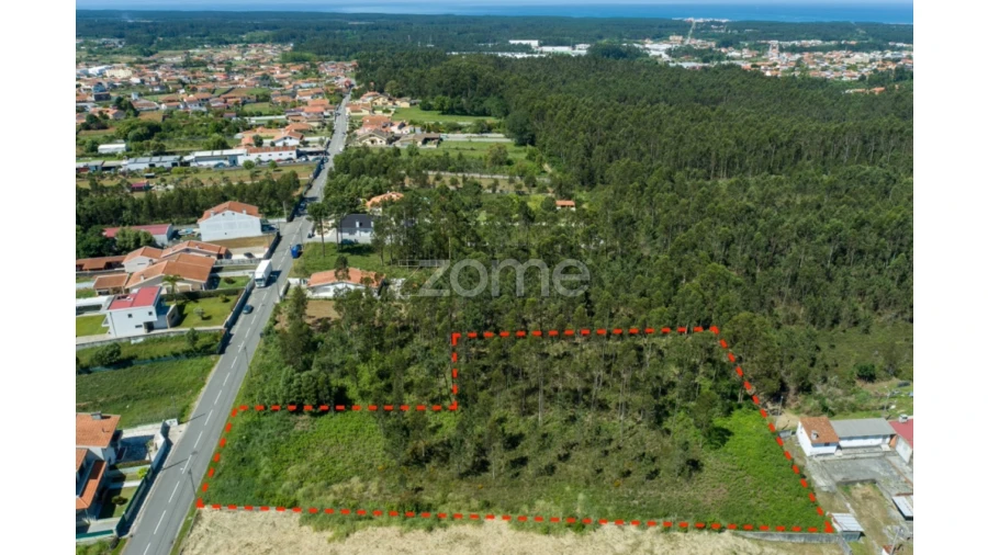 Terreno para Venda em Cortegaça Foto 7