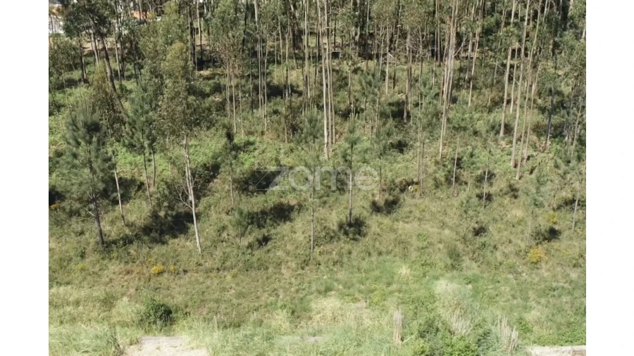 Terreno para Venda em Cortegaça Foto 13