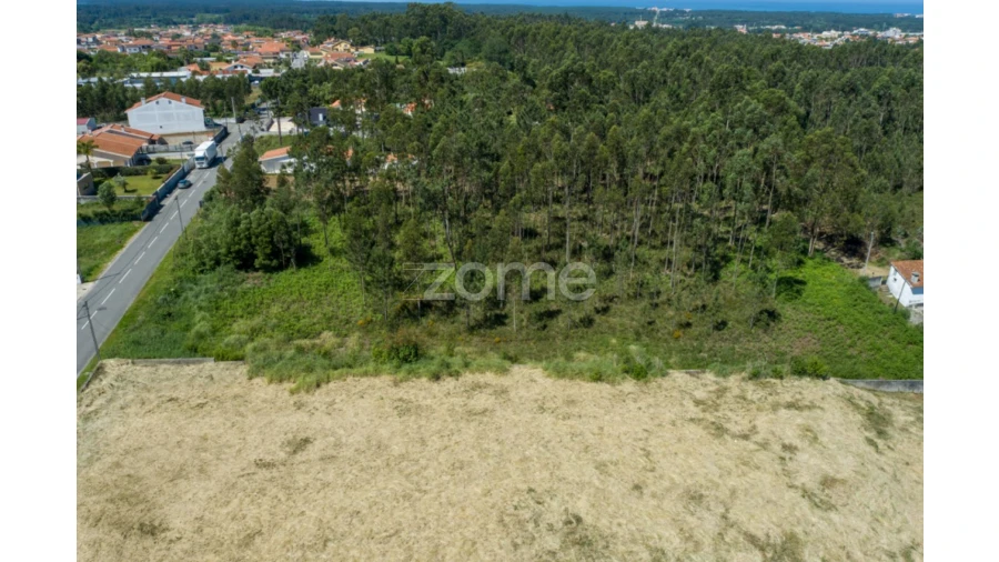 Terreno para Venda em Cortegaça Foto 14