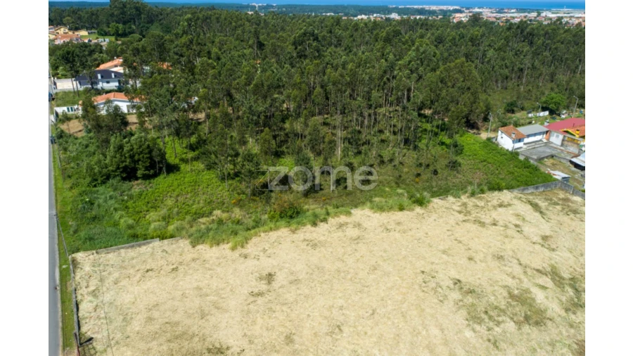 Terreno para Venda em Cortegaça Foto 15