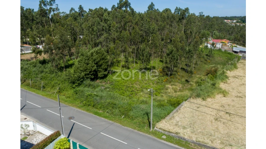 Terreno para Venda em Cortegaça Foto 17