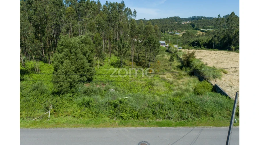 Terreno para Venda em Cortegaça Foto 18