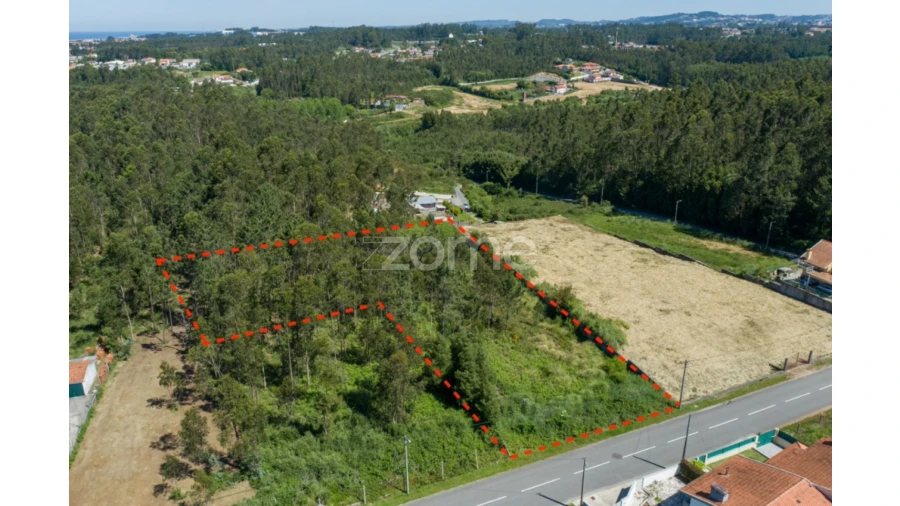 Terreno para Venda em Cortegaça Foto 19