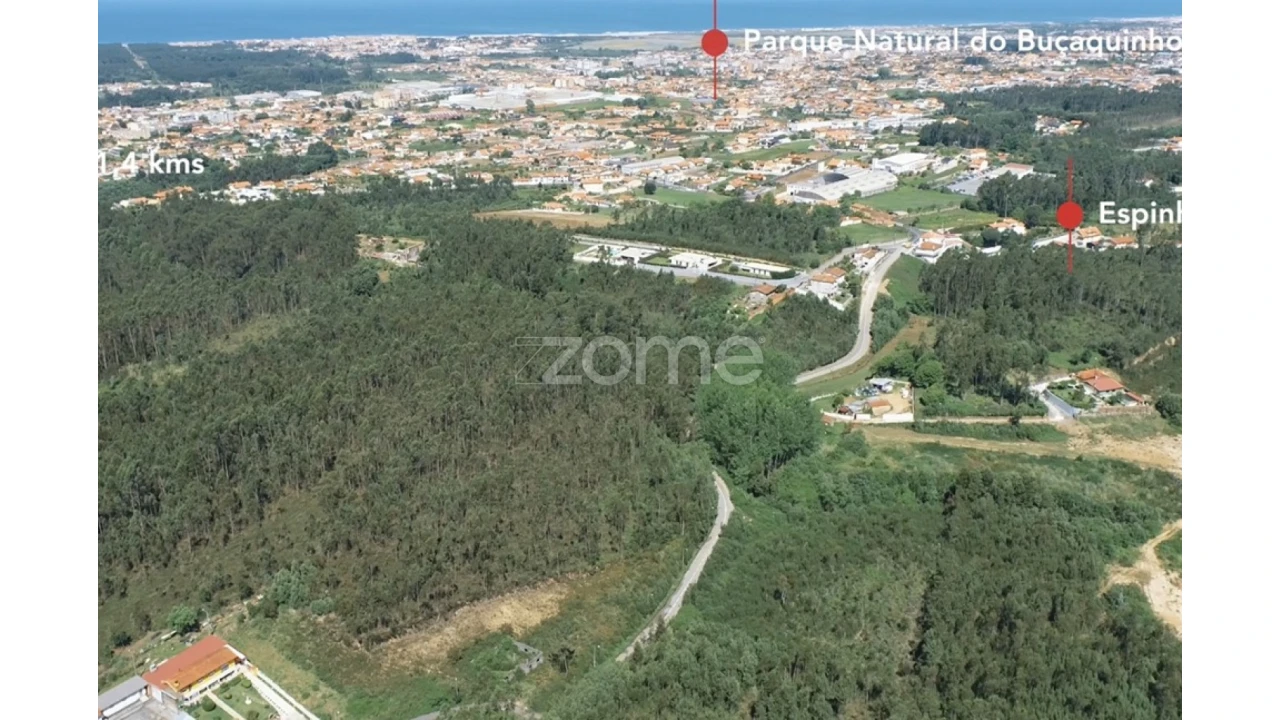 Terreno para Venda em Cortegaça Foto 3
