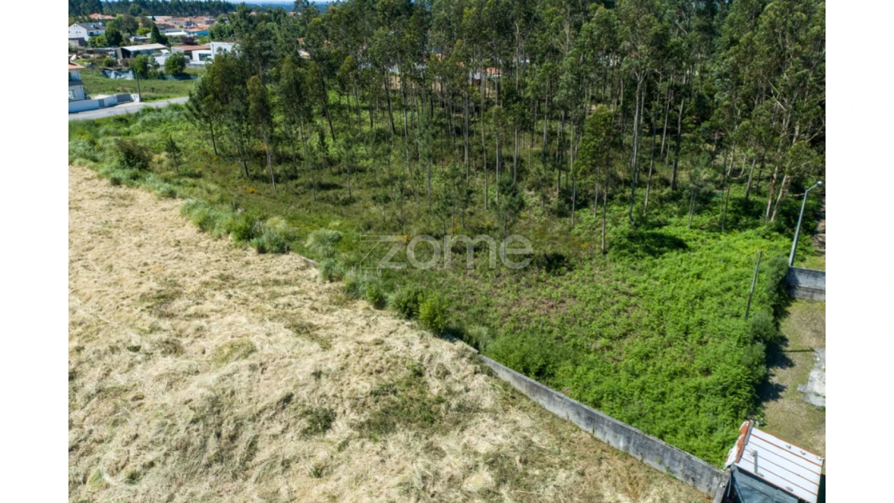 Terreno para Venda em Cortegaça Foto 11