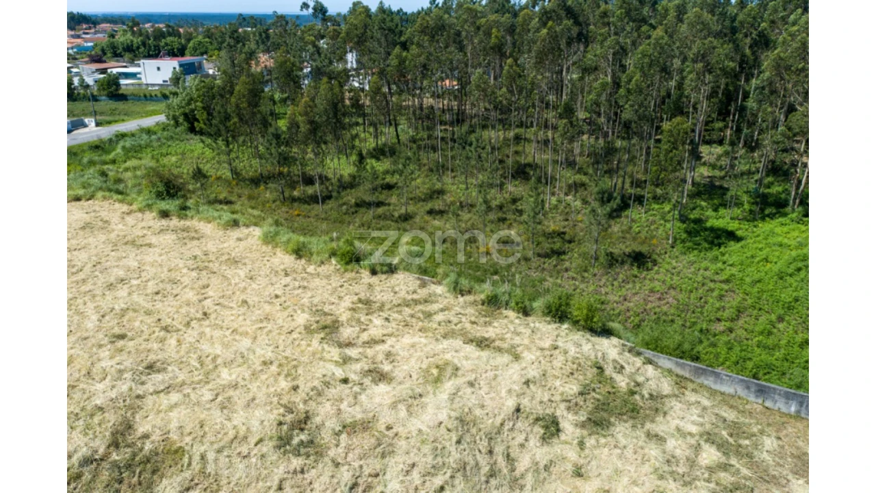 Terreno para Venda em Cortegaça Foto 12