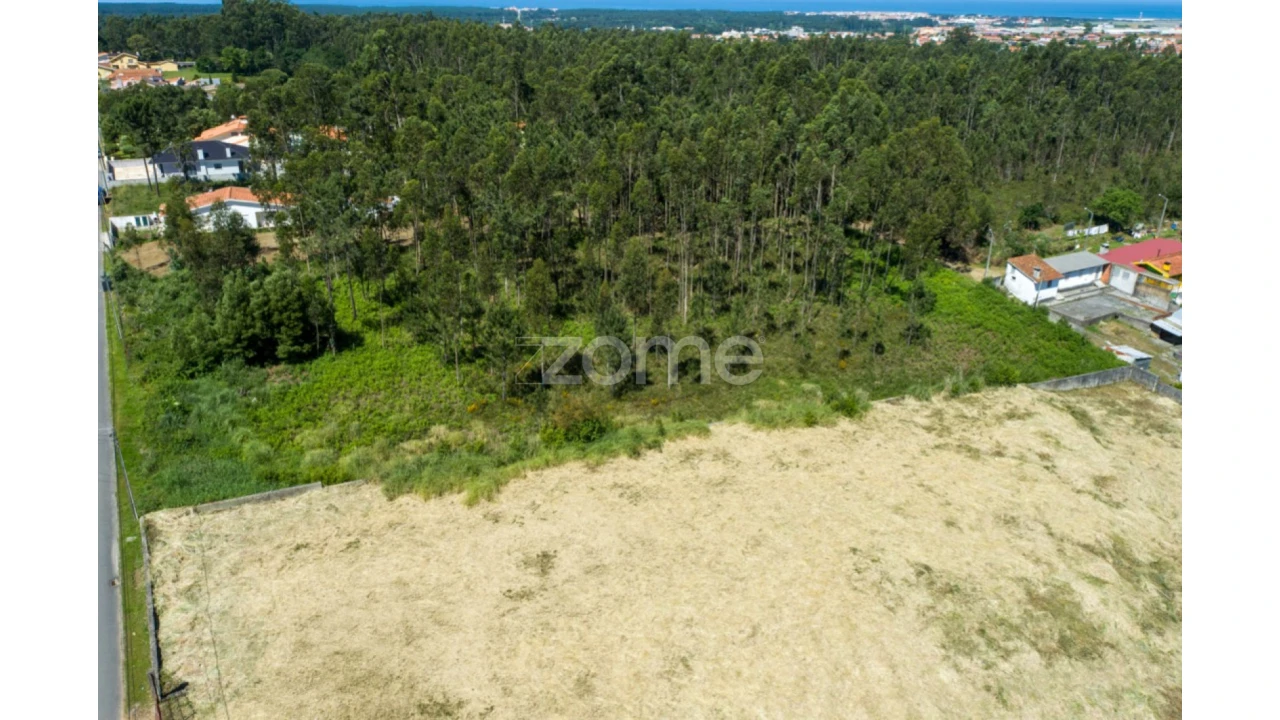 Terreno para Venda em Cortegaça Foto 15