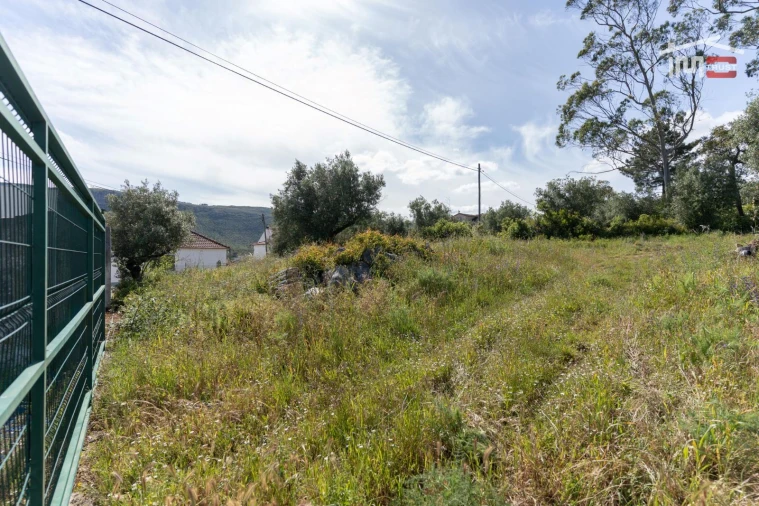 Terreno para Venda em Mira de Aire Foto 2