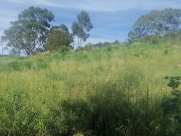 Terreno para Venda em Vila Franca de Xira