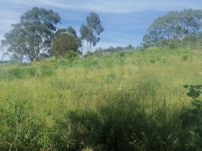 Terreno para Venda em Vila Franca de Xira Foto 2