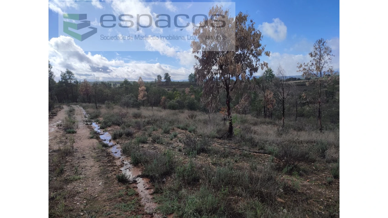 Terreno Agricola ou Rústico para Venda em Sarzedas Foto 9