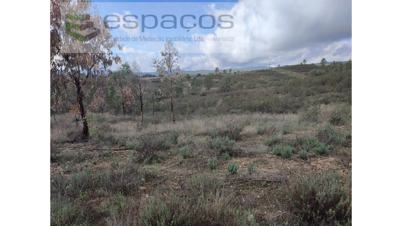 Terreno Agricola ou Rústico para Venda em Sarzedas Foto 8