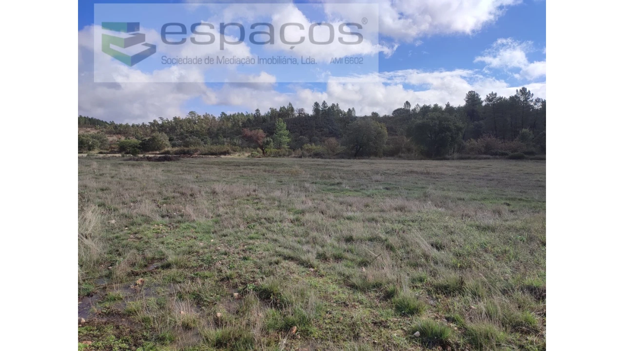 Terreno Agricola ou Rústico para Venda em Sarzedas Foto 11