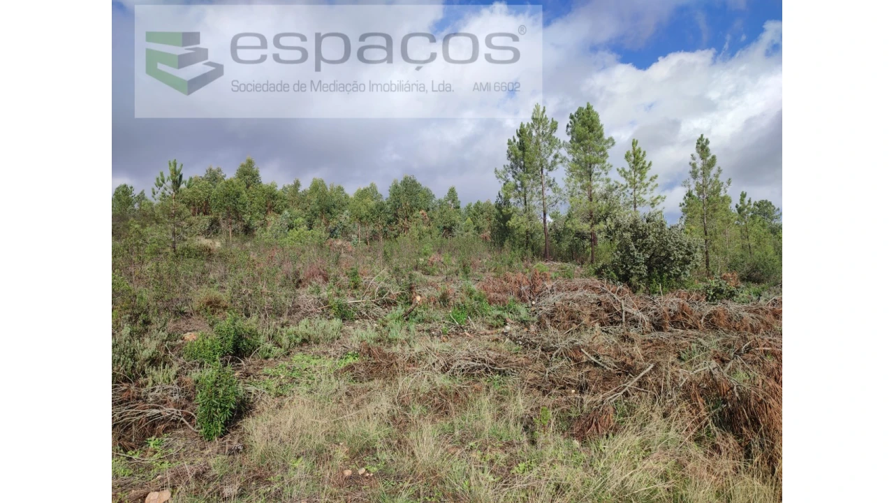 Terreno Agricola ou Rústico para Venda em Sarzedas Foto 12