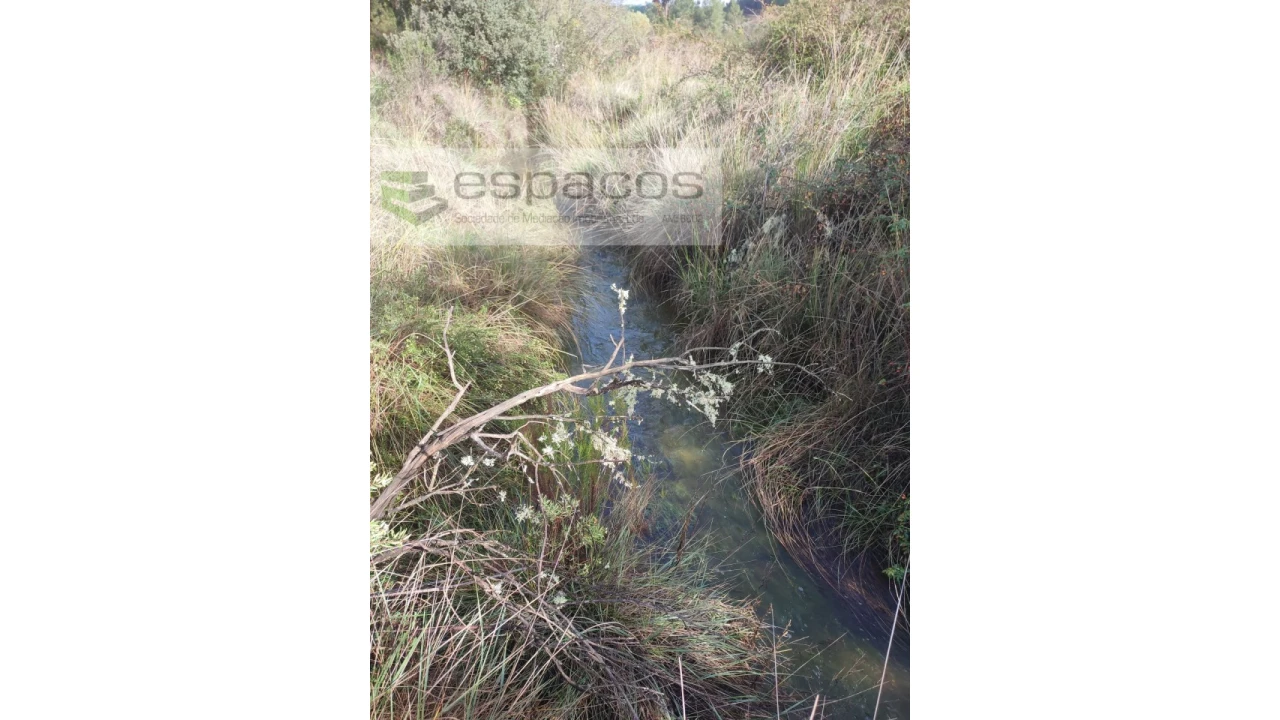 Terreno Agricola ou Rústico para Venda em Sarzedas Foto 7