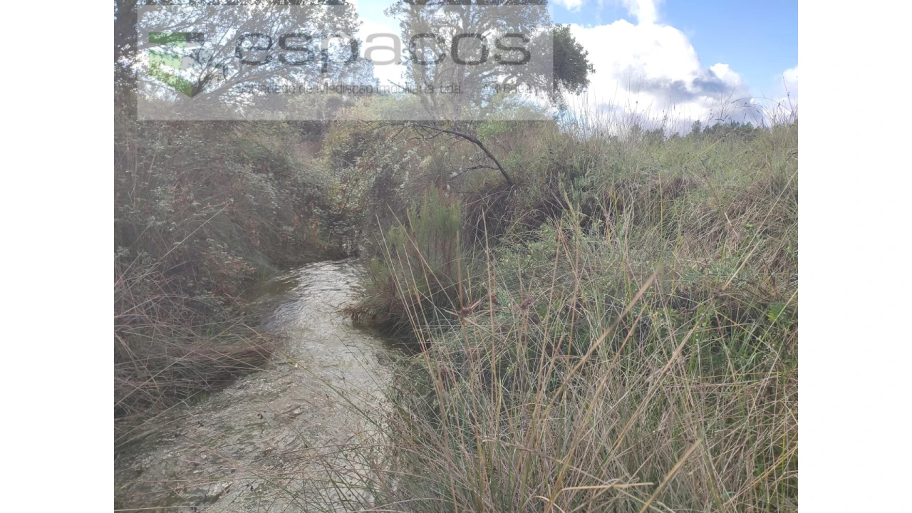 Terreno Agricola ou Rústico para Venda em Sarzedas Foto 6