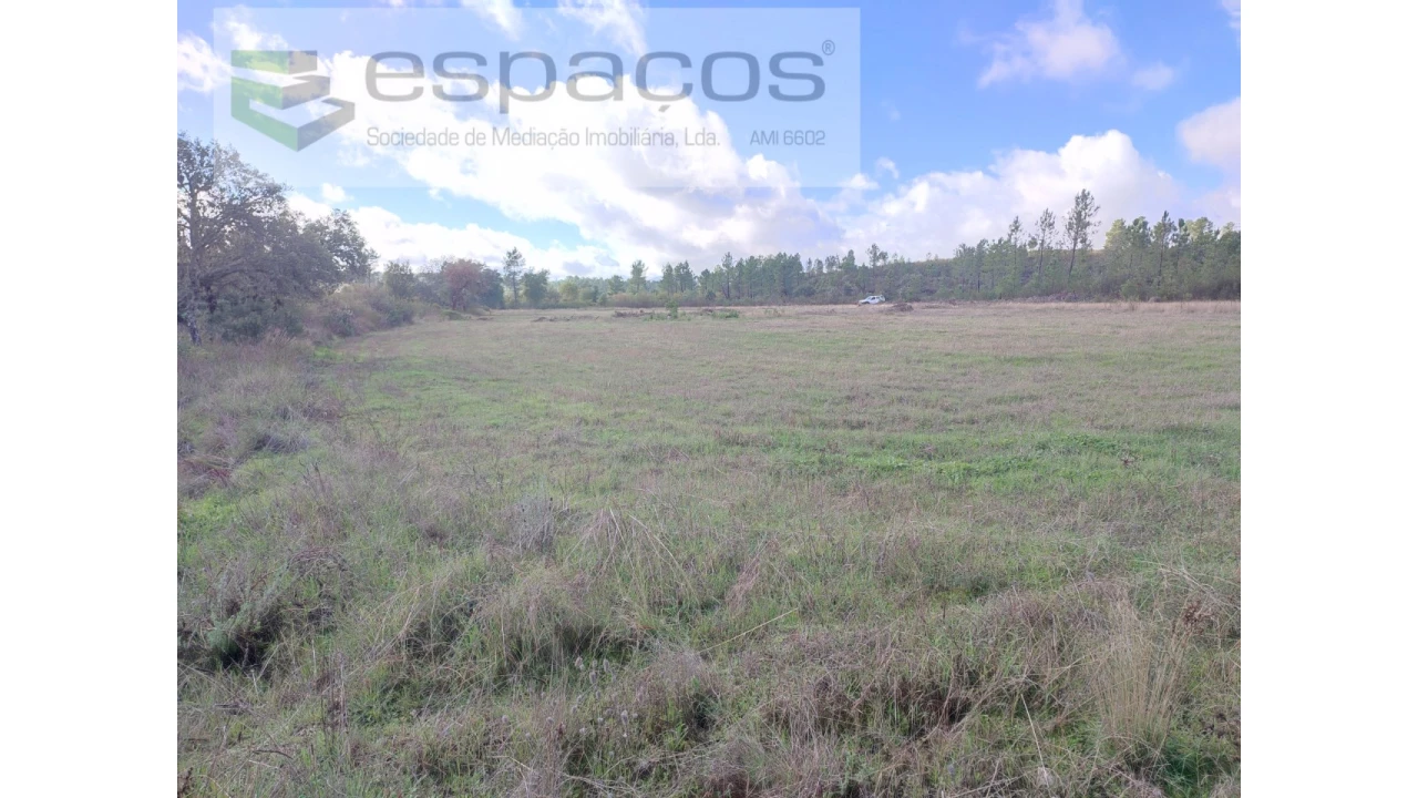 Terreno Agricola ou Rústico para Venda em Sarzedas Foto 5