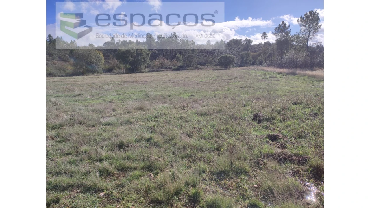 Terreno Agricola ou Rústico para Venda em Sarzedas Foto 13