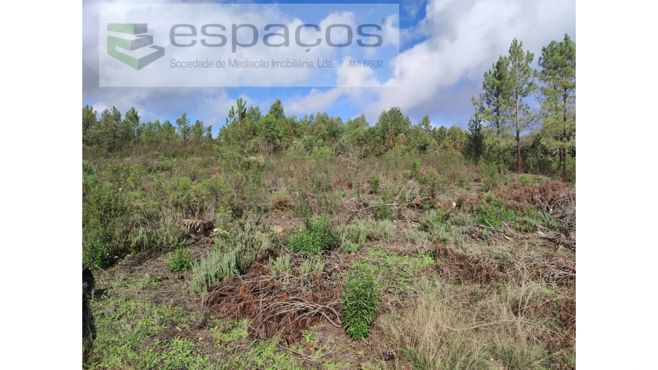 Terreno Agricola ou Rústico para Venda em Sarzedas Foto 14
