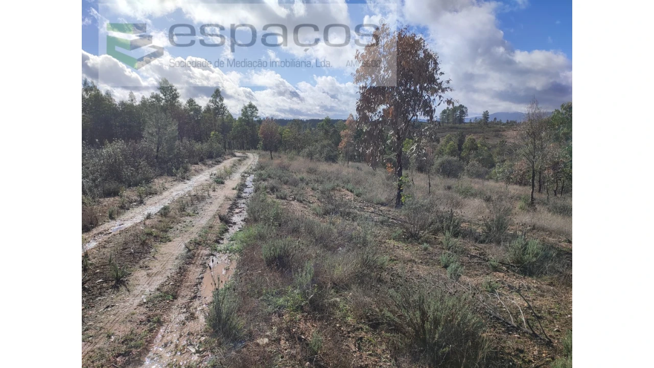 Terreno Agricola ou Rústico para Venda em Sarzedas Foto 16