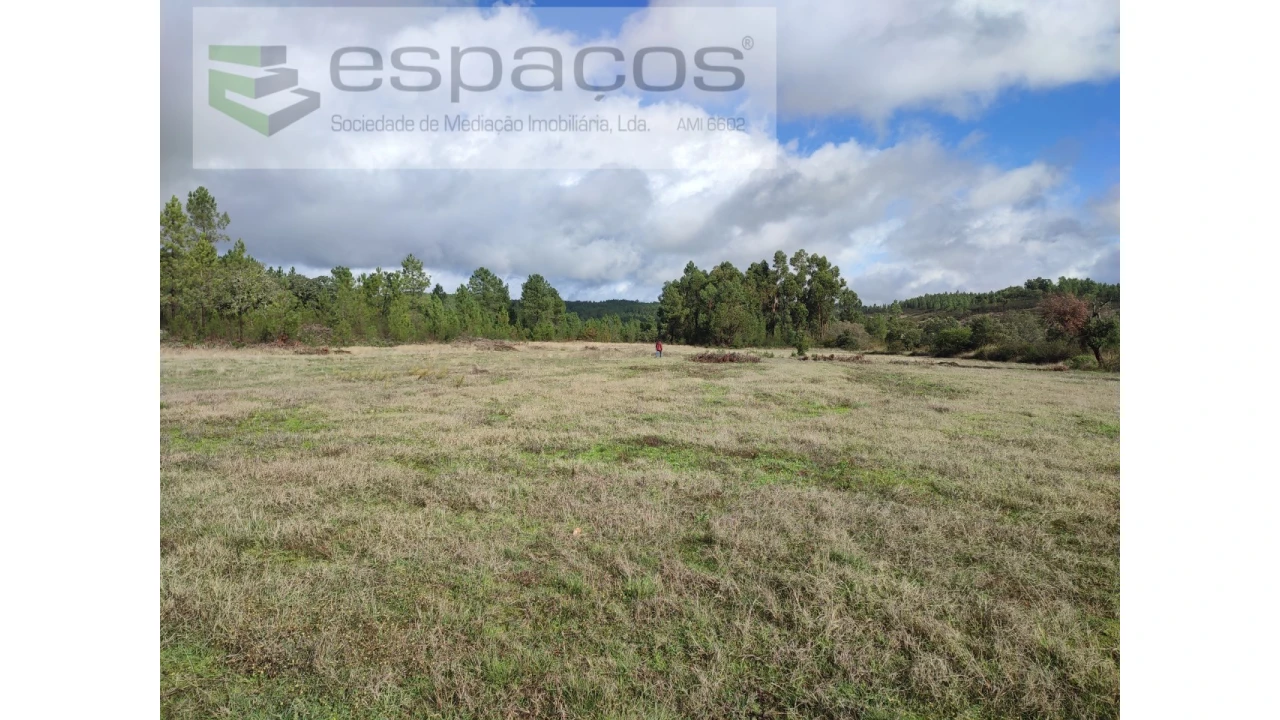 Terreno Agricola ou Rústico para Venda em Sarzedas Foto 3