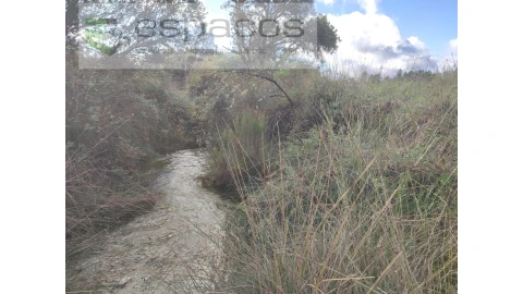 Terreno Agricola ou Rústico para Venda em Sarzedas