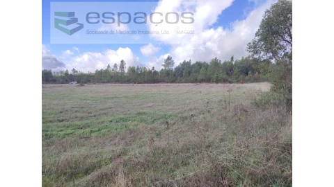Terreno Agricola ou Rústico para Venda em Sarzedas