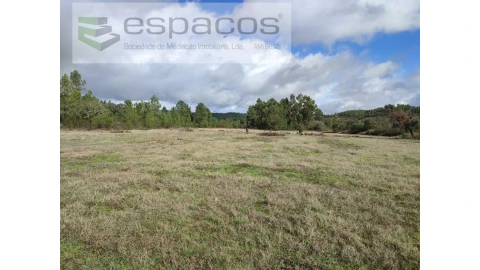 Terreno Agricola ou Rústico para Venda em Sarzedas