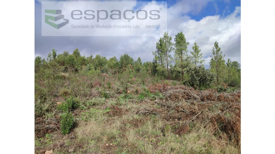 Terreno Agricola ou Rústico para Venda em Sarzedas Foto 12