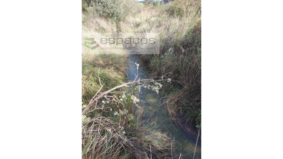 Terreno Agricola ou Rústico para Venda em Sarzedas Foto 7