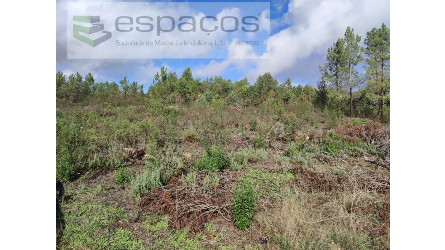 Terreno Agricola ou Rústico para Venda em Sarzedas Foto 14