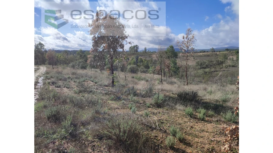 Terreno Agricola ou Rústico para Venda em Sarzedas Foto 15