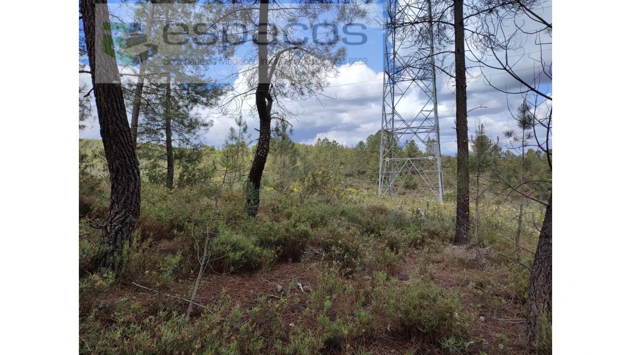Terreno Agricola ou Rústico para Venda em Benquerenças Foto 3