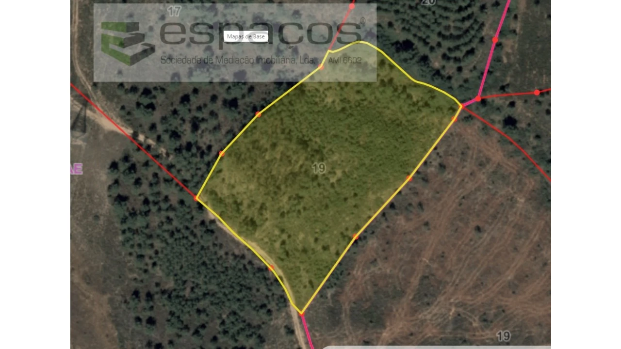 Terreno Agricola ou Rústico para Venda em Benquerenças Foto 10