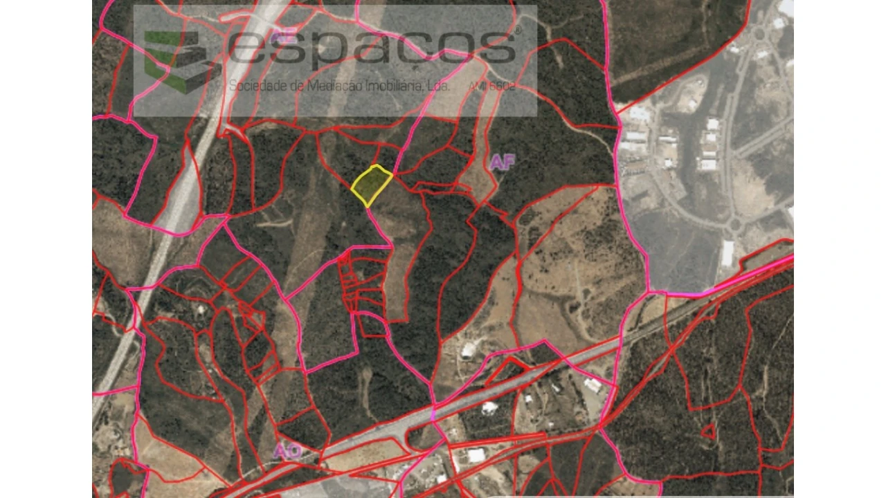 Terreno Agricola ou Rústico para Venda em Benquerenças Foto 1