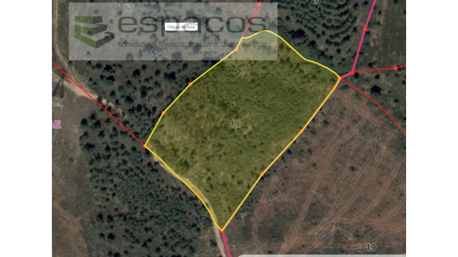 Terreno Agricola ou Rústico para Venda em Benquerenças Foto 10