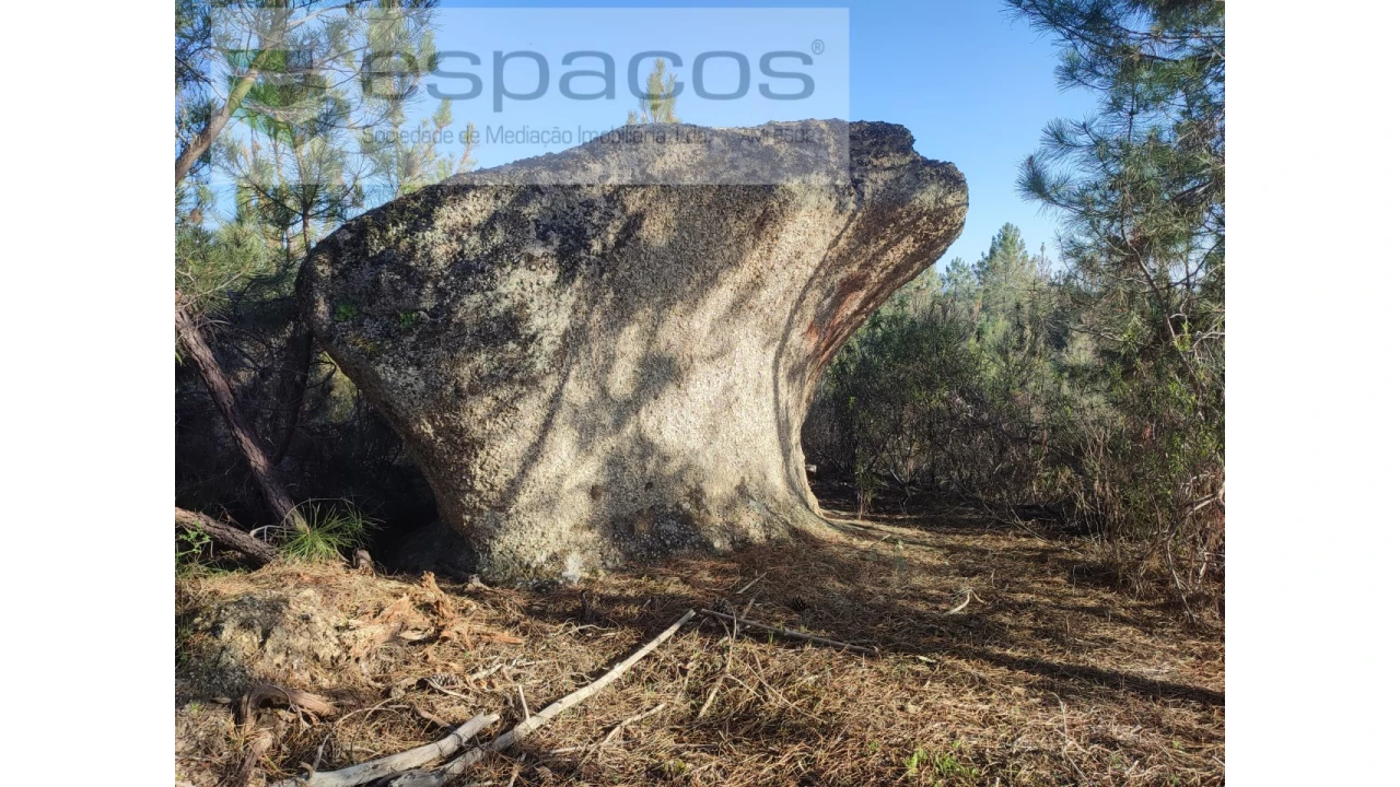 Terreno Agricola ou Rústico para Venda em Salgueiro do Campo Foto 1