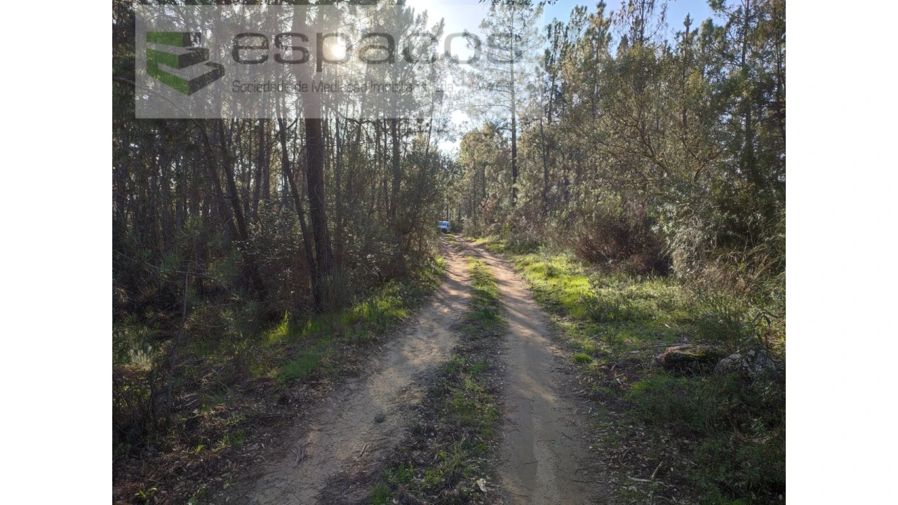 Terreno Agricola ou Rústico para Venda em Salgueiro do Campo Foto 6