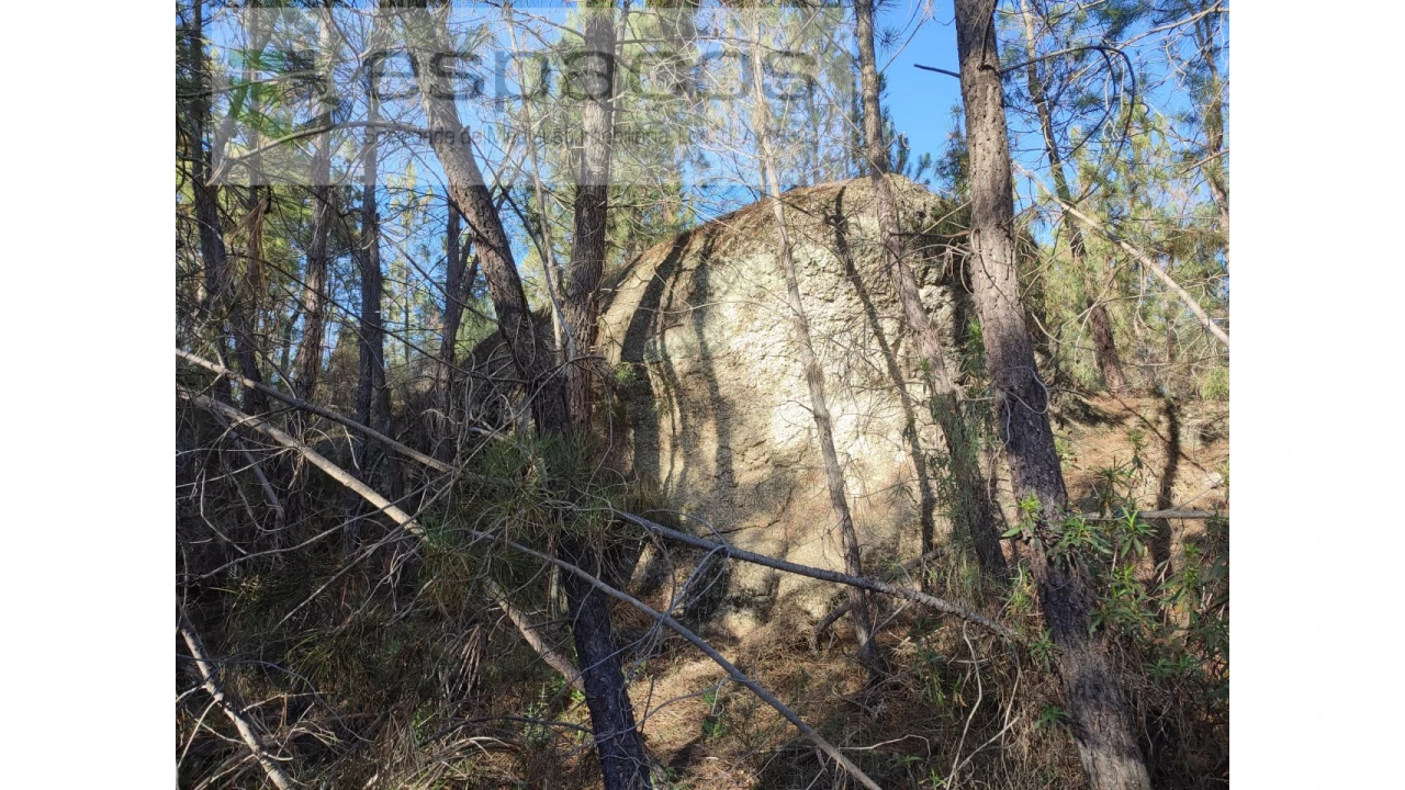 Terreno Agricola ou Rústico para Venda em Salgueiro do Campo Foto 8