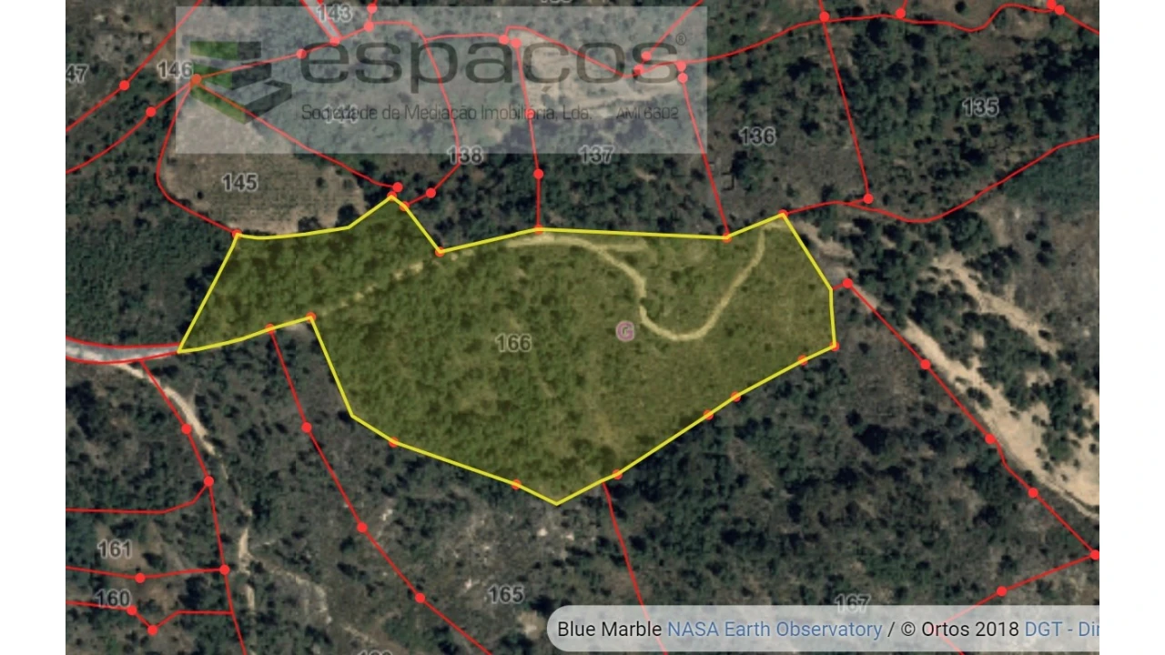 Terreno Agricola ou Rústico para Venda em Salgueiro do Campo Foto 9