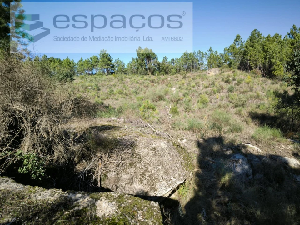 Terreno Agricola ou Rústico para Venda em Salgueiro do Campo Foto 4