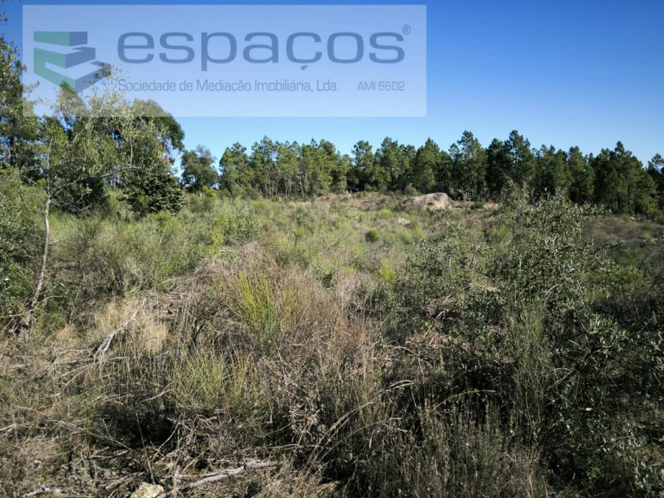 Terreno Agricola ou Rústico para Venda em Salgueiro do Campo Foto 5