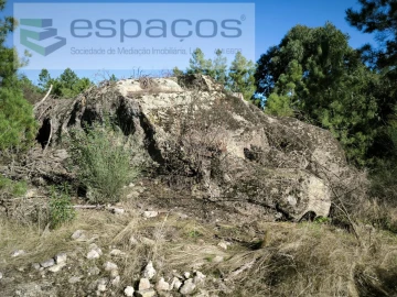 Terreno Agricola ou Rústico para Venda em Salgueiro do Campo