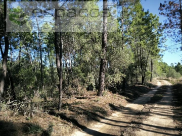 Terreno Agricola ou Rústico para Venda em Salgueiro do Campo